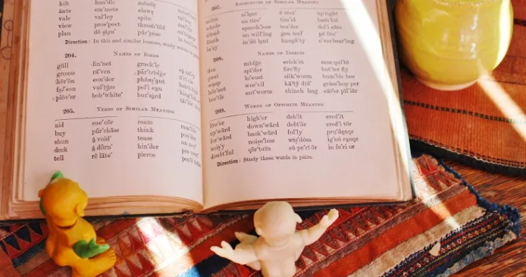 The Journal is a Compass to Your Path