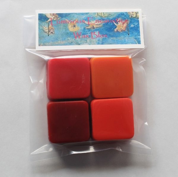 Encaustic Kits, Encaustic Tools, & Free Step Outs, Oh My!!